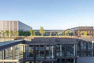 The green roof terrace of the Kalle Neukölln project in Berlin, featuring REGUPOL impact sound insulation for sustainable urban development and noise reduction.